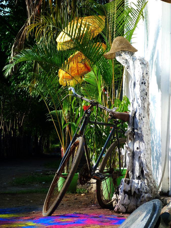 Gipsy Backpackers Hostel Quần đảo Gili Ngoại thất bức ảnh